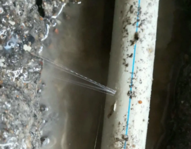 天河测漏水哪家好