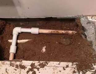 天河测漏水哪家好