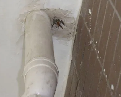 天河漏水检测哪家好