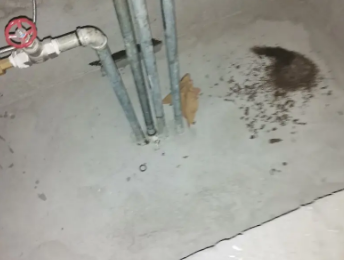 天河卫生间测漏水价格明细